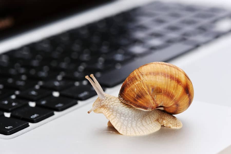 A snail on a computer to demonstrate the lack of pace adapting to new technology by the NHS